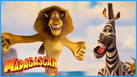 Madagascar Alex Marty