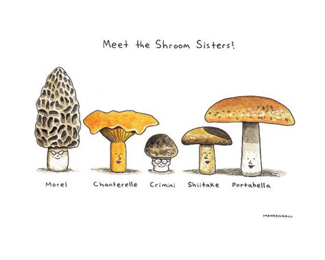 Funny Mushroom Quotes. QuotesGram