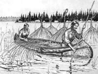 The Ojibwa Nation: Shamanism, Food and Traditions.