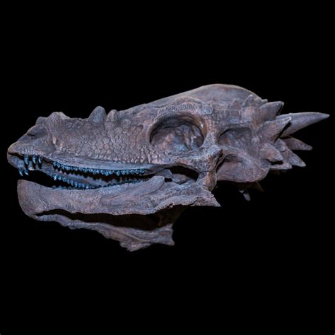 Pachycephalosaurus Skull Cast | Skull, It cast, Lizard