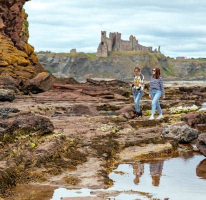 Beautiful East Lothian Beaches Private Day Trip - Withlocals