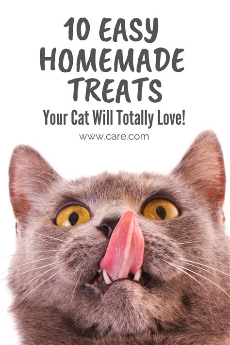 10 homemade cat treats your kitty will love – Artofit