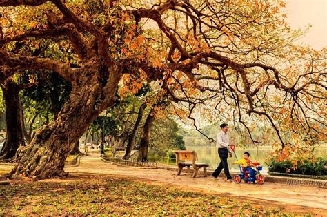 Hanoi in Autumn, claimed as the most romantic time