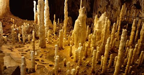 Stalagmites Store Paleoclimate Data - Geology In