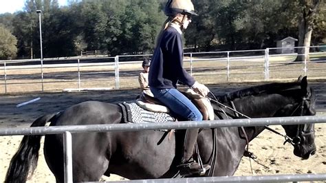 Logan Horse Training 2 - YouTube