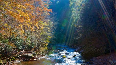 Great Smoky Mountains National Park Vacations 2017: Package & Save up ...