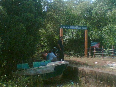 Amazing Goa: Dr. Salim Ali Bird Sanctuary Goa