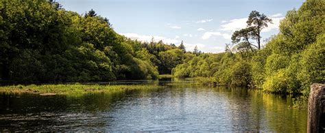 Ireland's Cong River - Pano Photograph by Phyllis Taylor