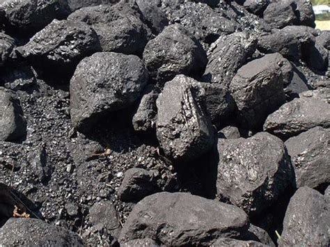 Bituminous coal