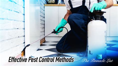 Effective Pest Control Methods: A Comprehensive Guide – The Pinnacle List