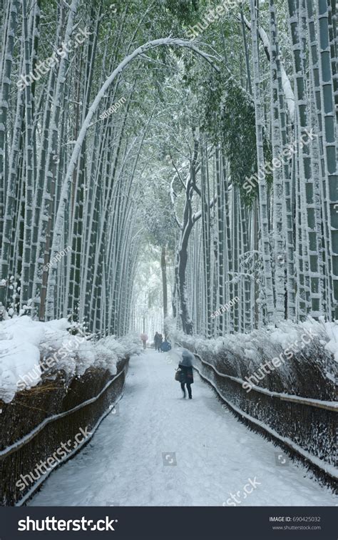 881 Arashiyama winter Images, Stock Photos & Vectors | Shutterstock