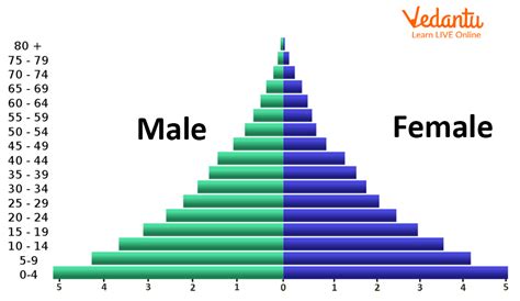 Population Pyramid - Structure, Types, and Uses