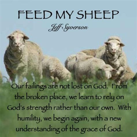 Feed My Sheep (Jun 2) | Feed my sheep, Gods strength, Scripture reading