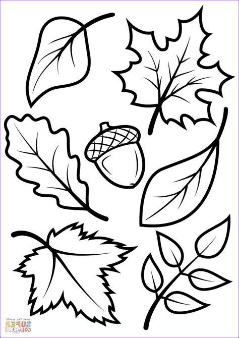 Fall Leaves and Acorn coloring page from Fall category | Leaf coloring ...