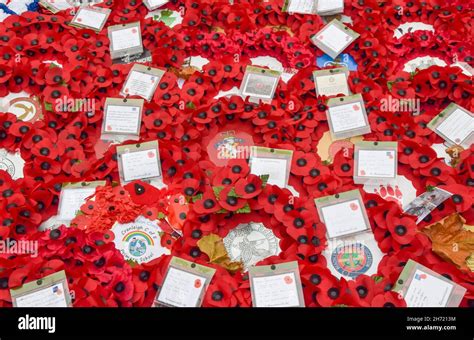 London, UK. 19th November 2021. Remembrance Day poppy wreaths at The ...