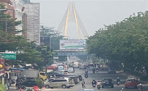 Riau Kembali Dihantui Kabut Asap, Pengamat Lingkungan Ungkap Biang Keroknya