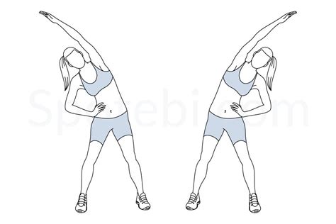 Obliques stretch exercise guide with instructions, demonstration ...