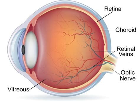 Retina San Francisco | Retina Specialist Bay Area | Pacific Eye