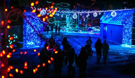 ZOOLIGHTS To Illuminate The Calgary Zoo With Over 2 Million Sparkling ...