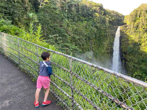 This Majestic Akaka Falls Hike Should Top Your Big Island Itinerary