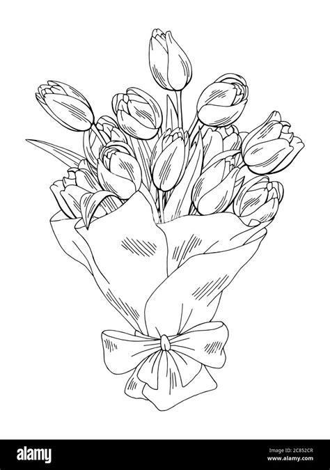 Tulip flower graphic black white isolated bouquet sketch illustration ...