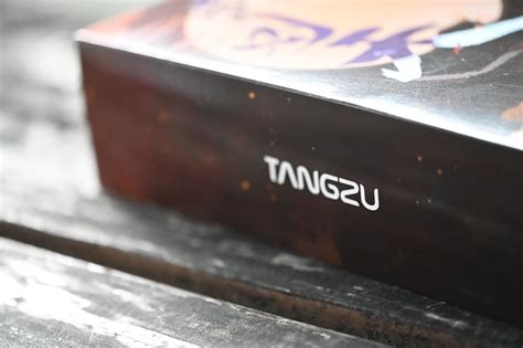 (Chi-fi IEM Review) TANGZU Zetian Wu: Empress of planar drive IEMs ...