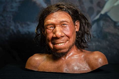 Remains of Neanderthal Family Found in Siberian Cave