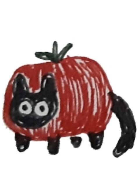 a drawing of a cat in a tomato costume