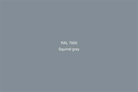 RAL 7000 Squirrel Gray Color Palettes And Color Scheme, 40% OFF