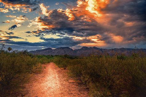 Santa Catalina Mountains Path, Tucson Photograph by Chance Kafka