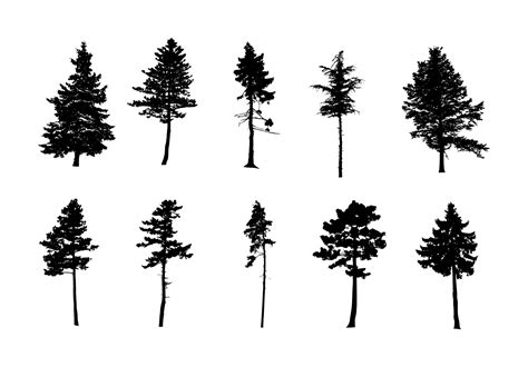 10 Pine Tree Silhouette (PNG Transparent) Vol. 3 | OnlyGFX.com