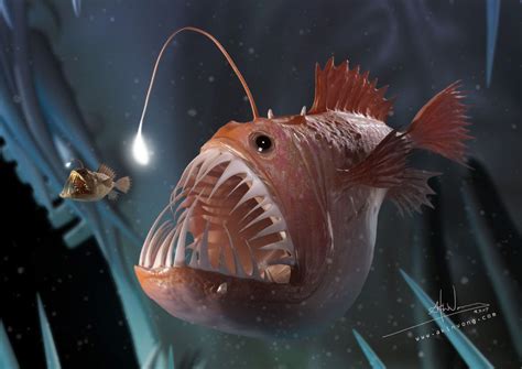 What do Angler fish Eat? Anglerfish Diet - SeaFish