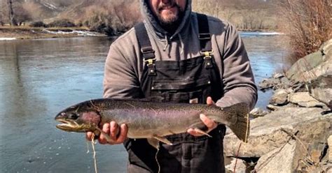 March 21: Upper Salmon River Weekly Fishing Report | Idaho Fish and Game