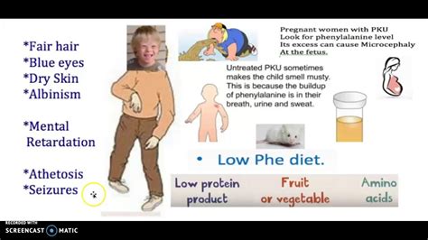 PKU (Phenylketonuria) Genetics Causes Symptoms Diagnosis Treatment ...