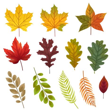 Free Vector | Set of icons with Various types of leaves.