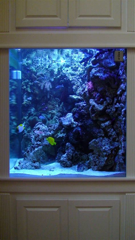 Most Beautiful Saltwater Fish Tanks ( All Time ) | RateMyFishTank.com