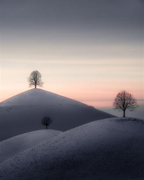 Premium Photo | White snow hills landscape on each hill stands a tree