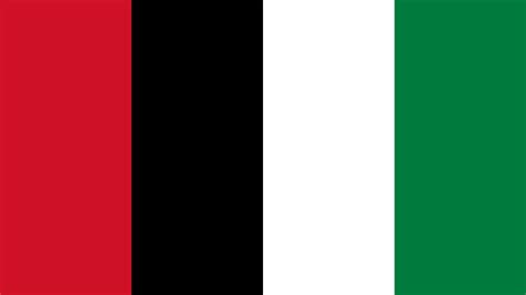 Palestine Flag Color Palette | Flag colors, Color palette, Palestine flag