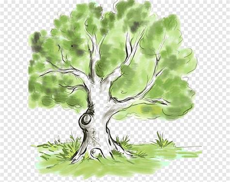 Drawing Family tree Genealogy Branch, tree, leaf, branch png | PNGEgg