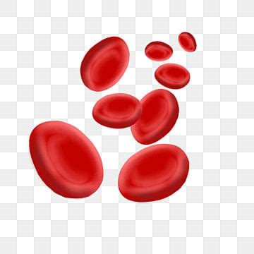 Blood Cells PNG Transparent Images Free Download | Vector Files | Pngtree