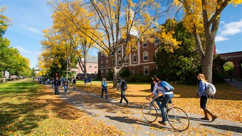 Why I'm Proud To Be A UMaine Black Bear