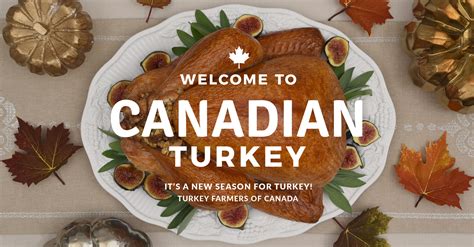 Canadian Turkey