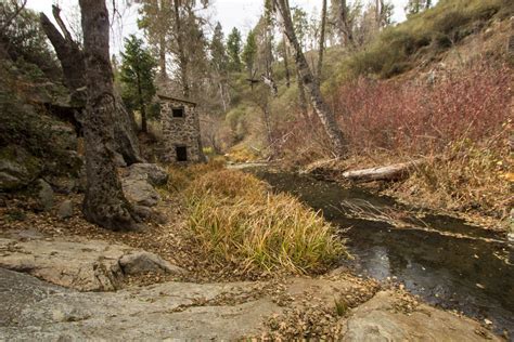 Hiking Boucher Lookout via Doane Valley Loop in Palomar Mountain State ...