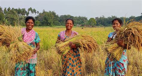 Tribal woman ushers in organic farming in India’s last village