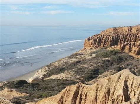 Torrey Pines Beach / Torrey Pines State Beach Southern California S ...