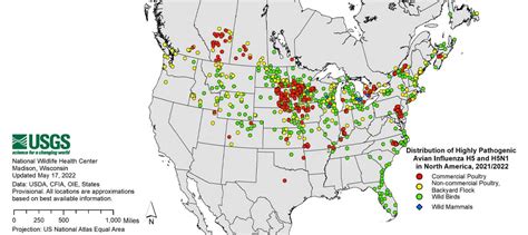 Avian Flu Outbreak 2022 | Eureka blog