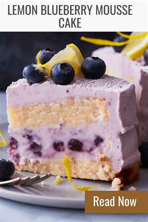 Lemon Blueberry Mousse Cake - Easy Kitchen Guide