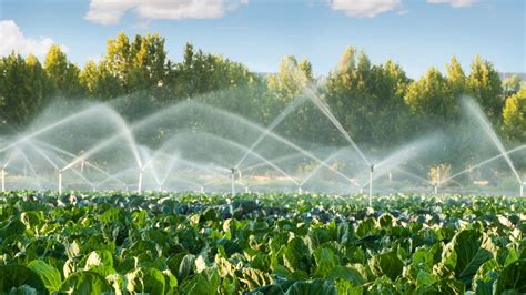 Learn about the most common modern irrigation methods - Invest4land ...