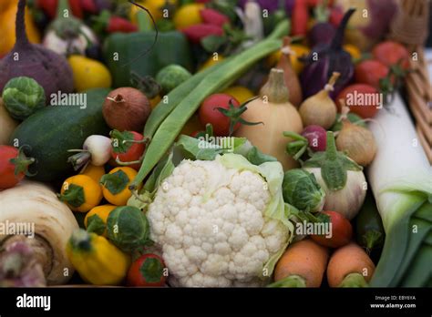 Vegetable Display for a Harvest Basket Stock Photo - Alamy