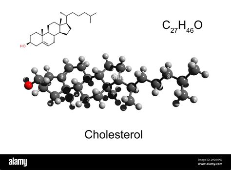 Cholesterol 3d Structure